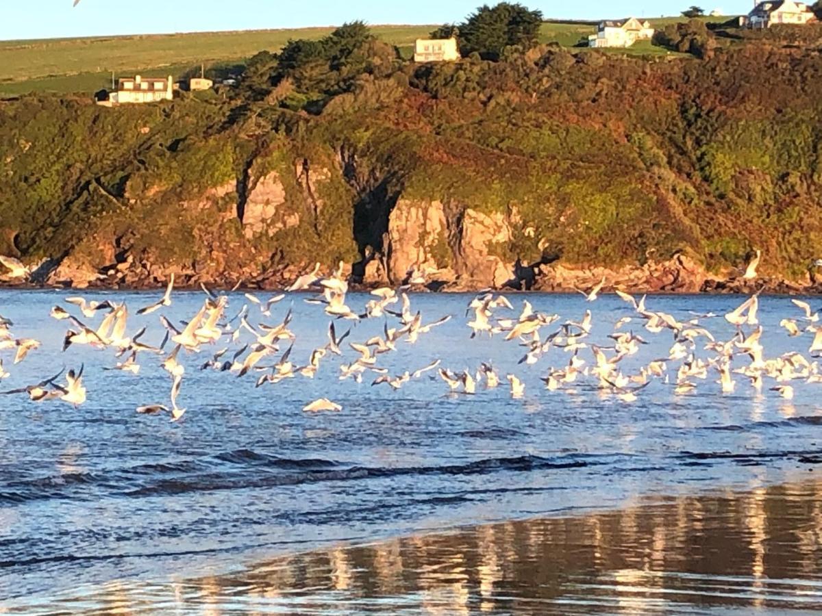 Апартаменты 9 The Downs, Thurlestone, South Devon On The Coastal Footpath Overlooking Burgh Island Экстерьер фото